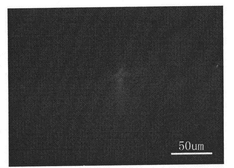 Method for measuring micro-tube density in SiC (silicon carbide) crystal