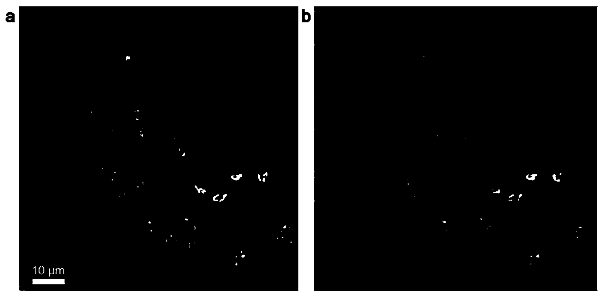 Space-time joint optimization reconstruction method and system