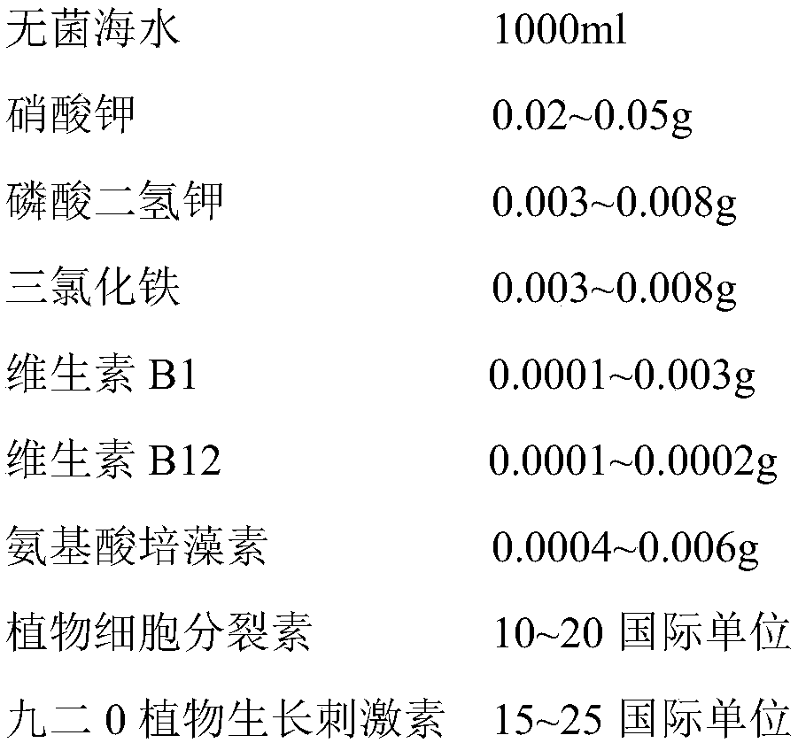 Oocystis concentrate with high activity and high stress resistance, and preparation method and application thereof