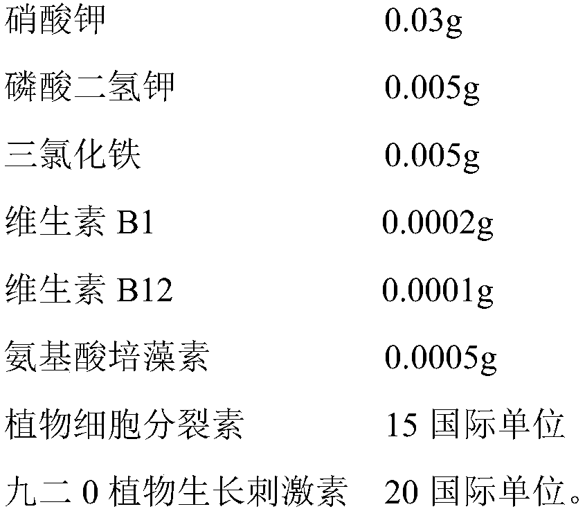 Oocystis concentrate with high activity and high stress resistance, and preparation method and application thereof