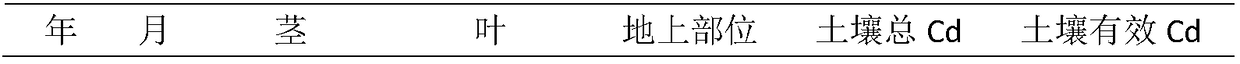 Method for restoring cadmium polluted farmland soil by using pennisetum purpureum cv .Guimu-1