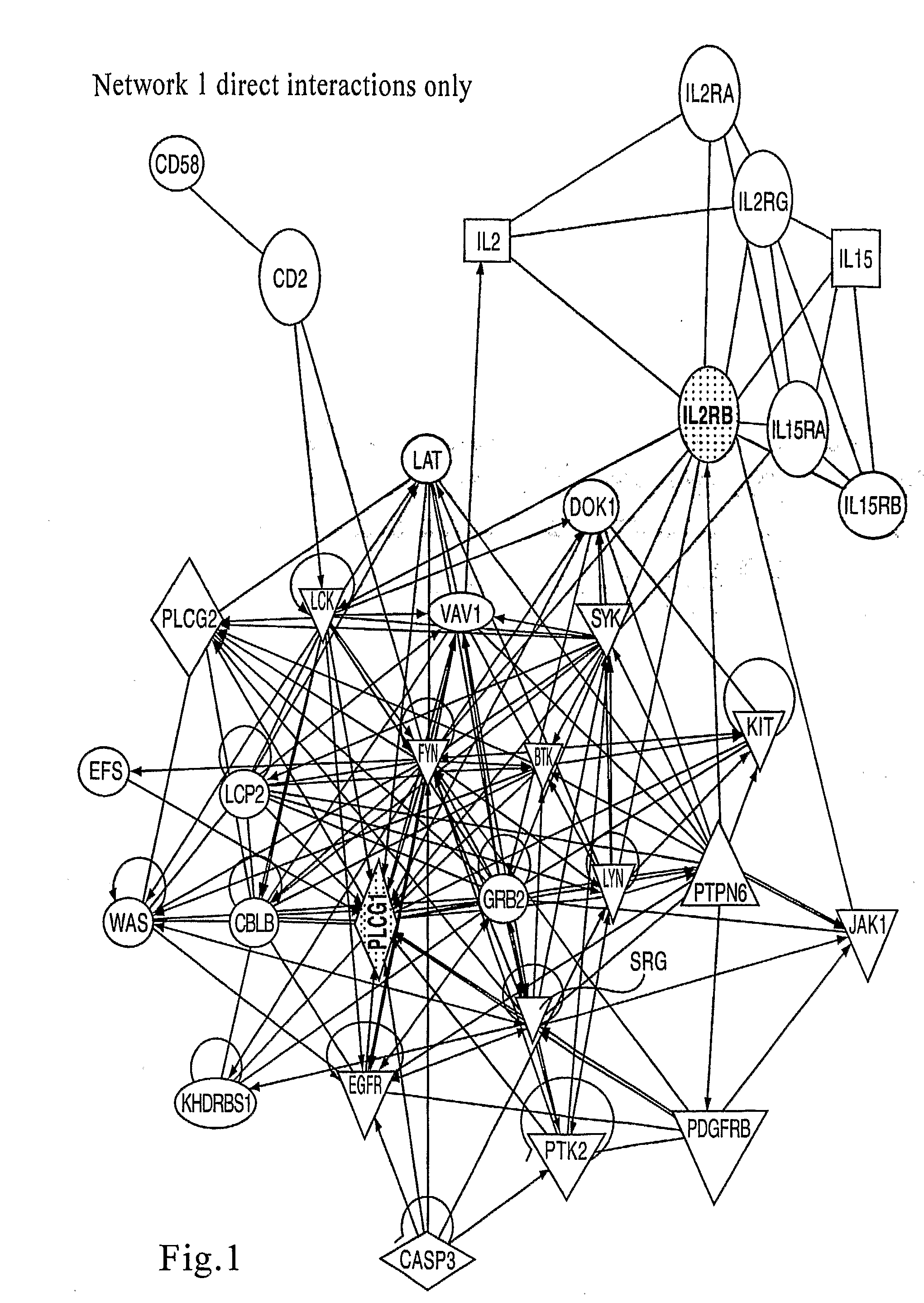 Genemap of the human genes associated with psoriasis