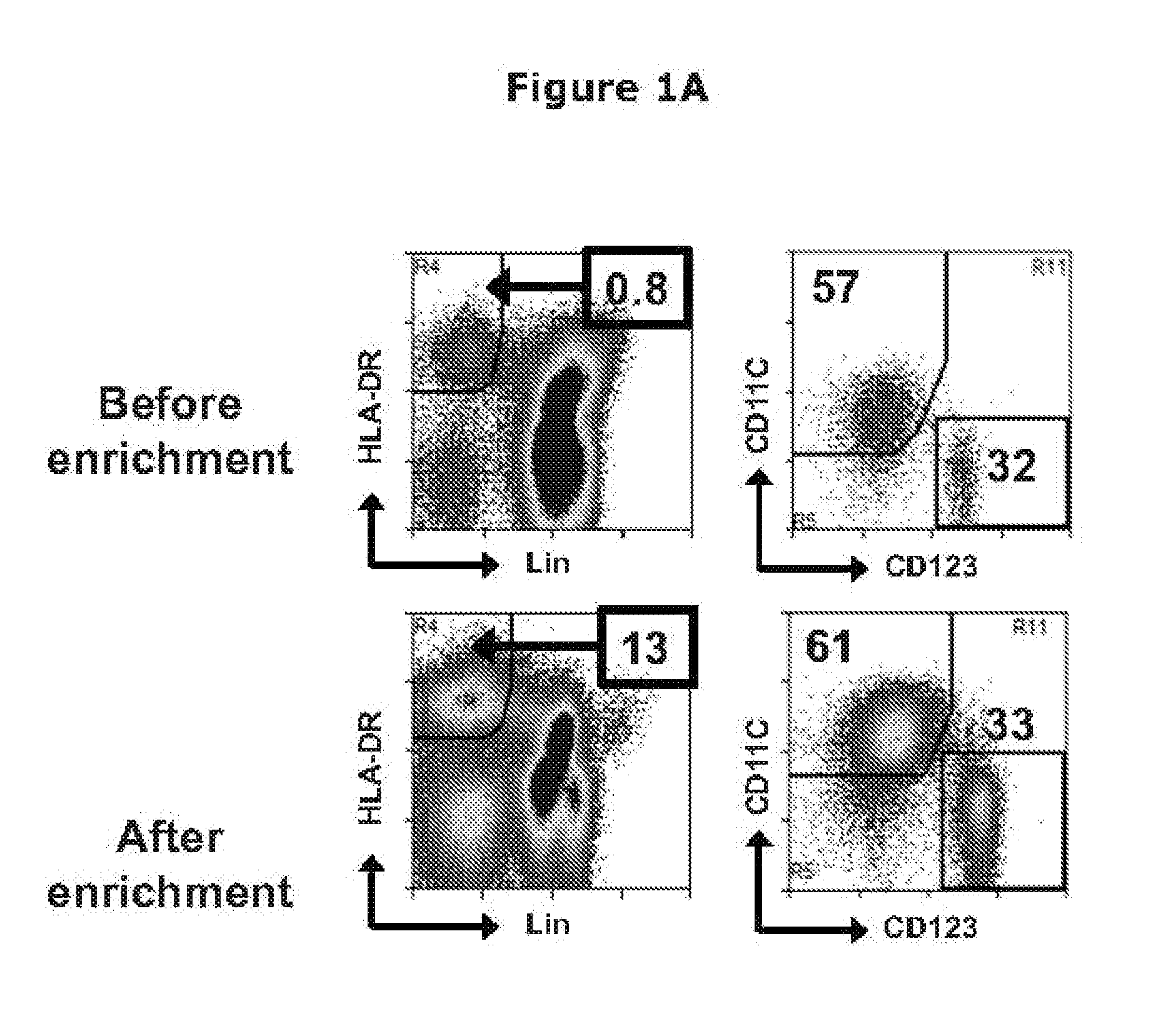 Compounds and Compositions for Treating EGFR Expressing Tumors