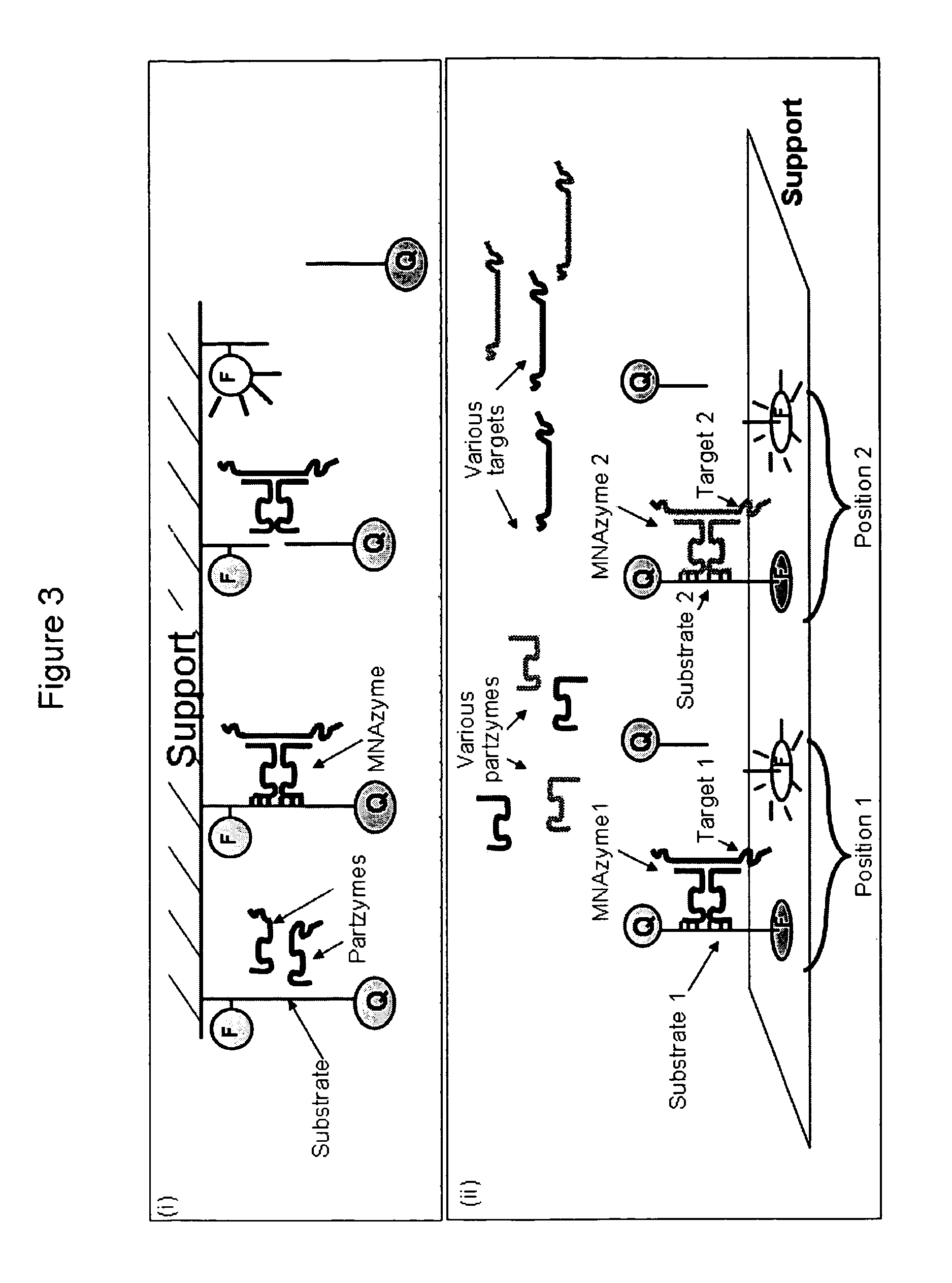 Multicomponent nucleic acid enzymes and methods for their use