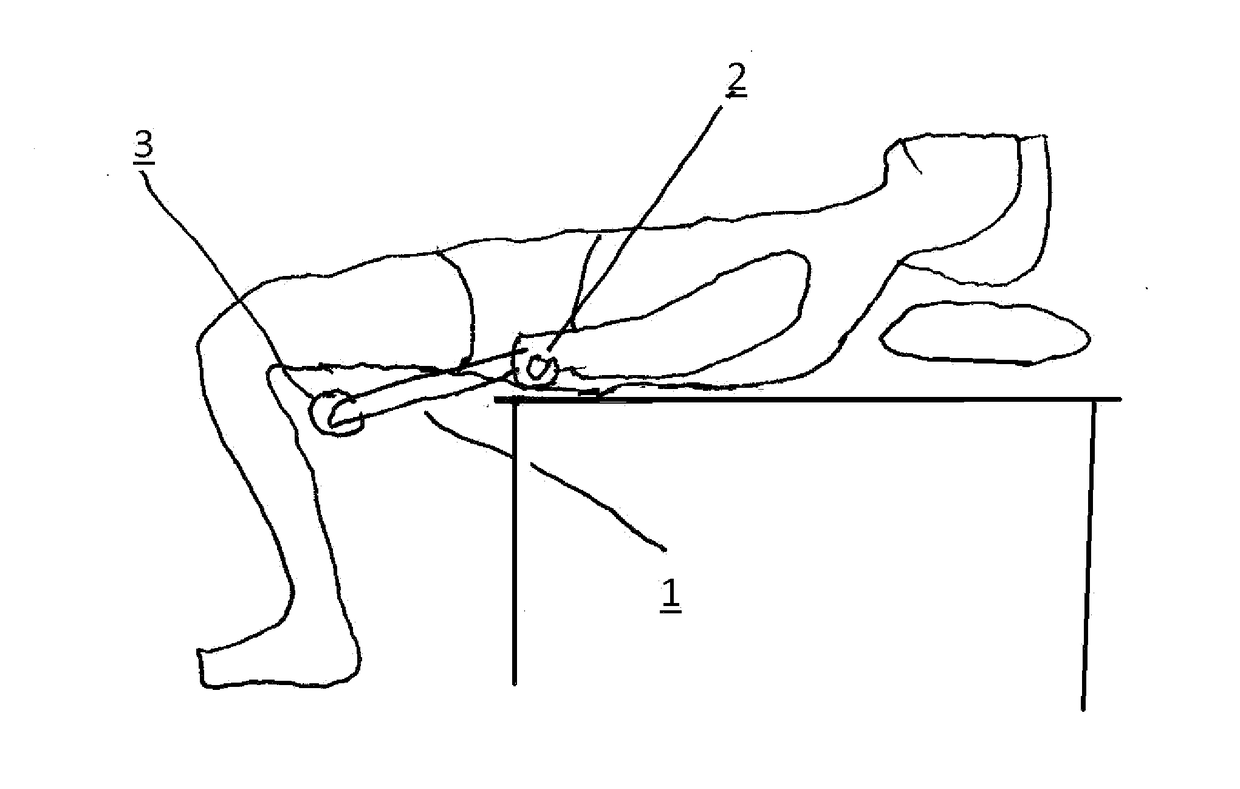 Portable Back Traction Device and Method of Use