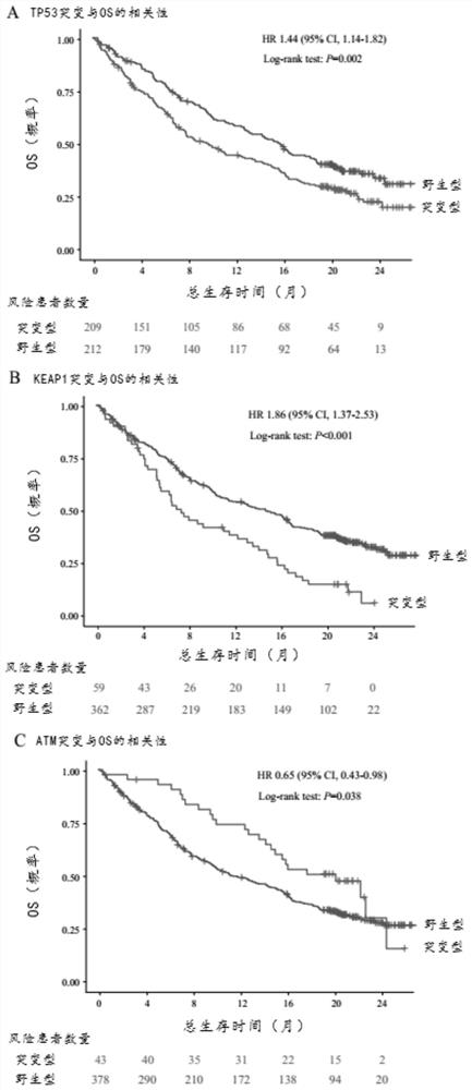 A method for establishing a nomogram model for predicting the curative effect of tumor immunotherapy