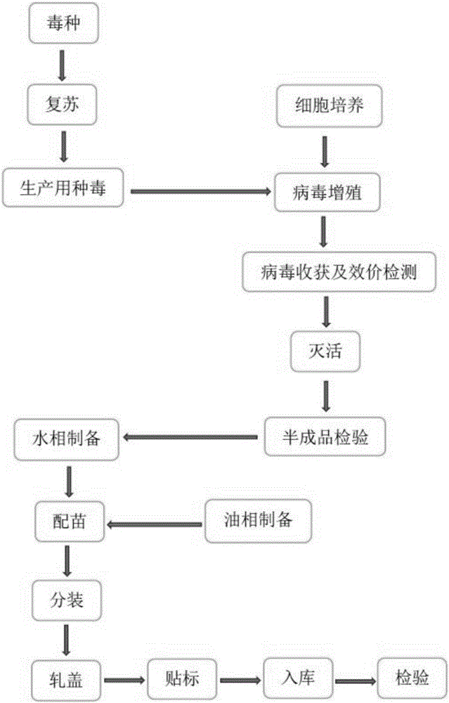 Ankara virus strain FAdV-HB and preparation and application of inactivated vaccine of ankara virus strain FAdV-HB