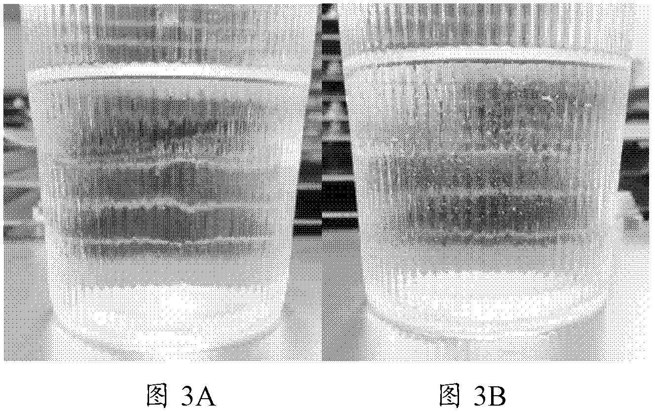 Silica gel preparation method