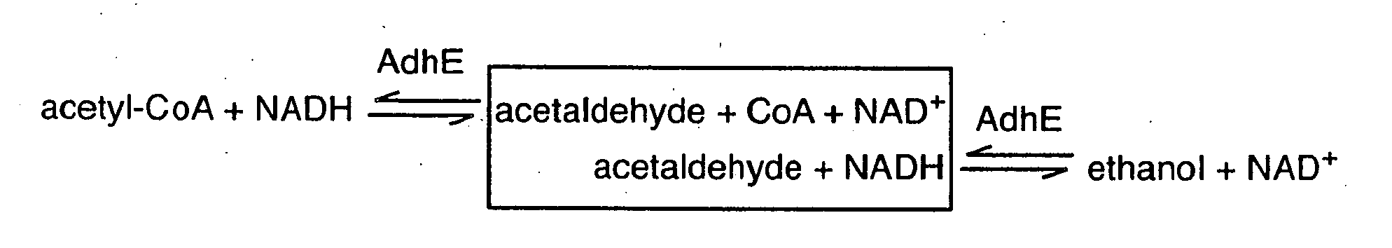 Microbial Conversion of Oils and Fatty Acids to High-Value Chemicals