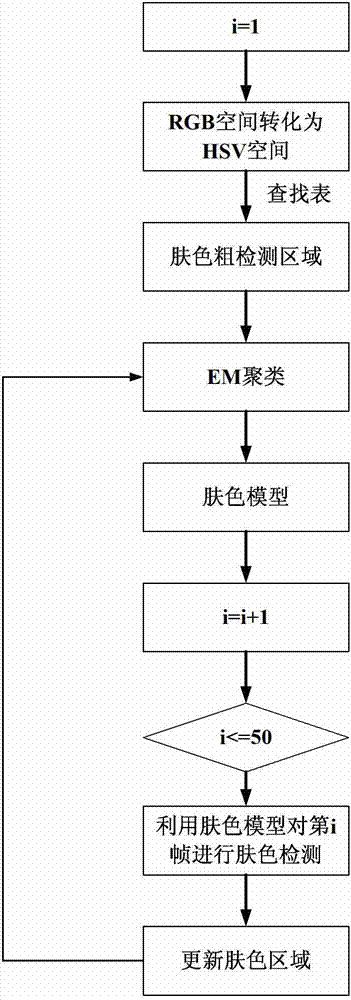 System and method for detecting colors of skin