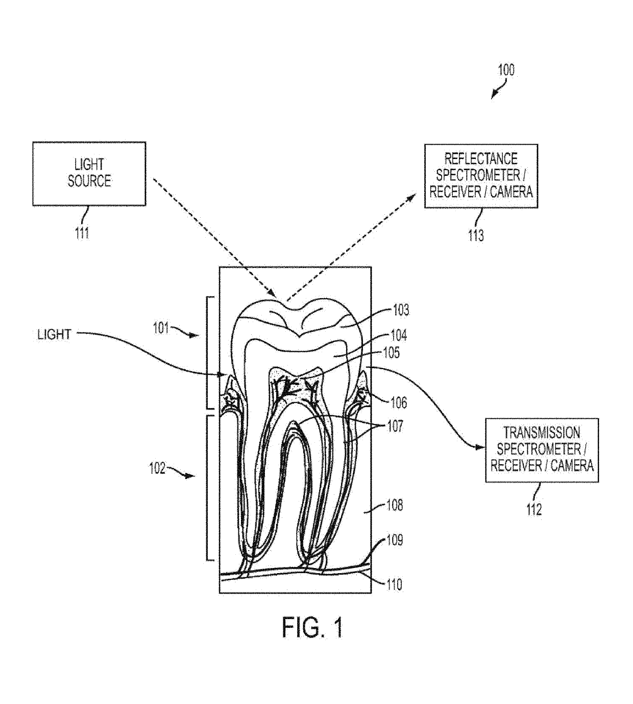 Near infrared imaging using laser arrays with distributed bragg reflectors