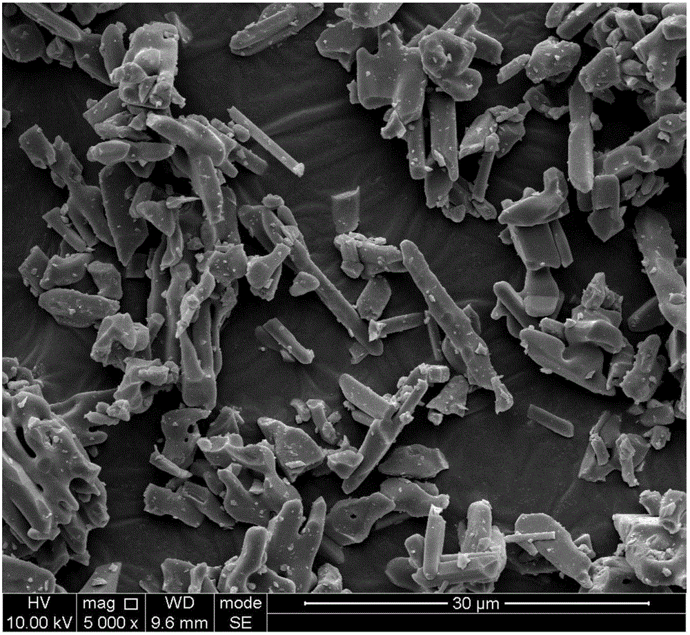 Rod-like titanium protoxide powder and preparation method thereof