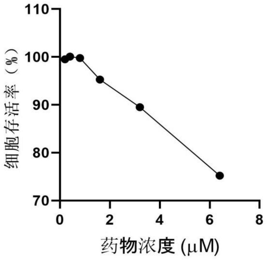 Application of fraxinone in preparation of medicine for treating or preventing herpes virus infection