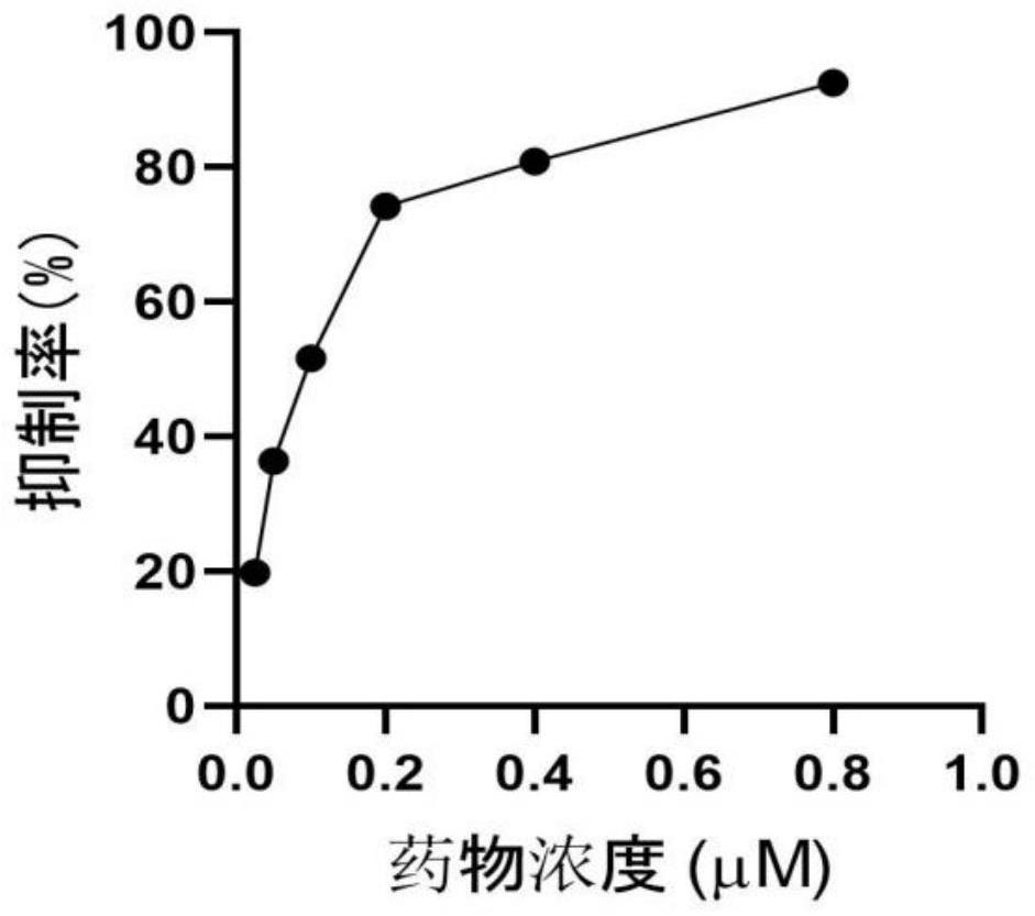 Application of fraxinone in preparation of medicine for treating or preventing herpes virus infection