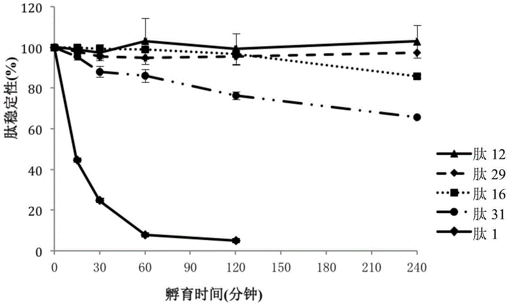 Polypeptide, derivative of polypeptide, pharmaceutical salt of polypeptide, pharmaceutical composition and application of polypeptide or derivative of polypeptide