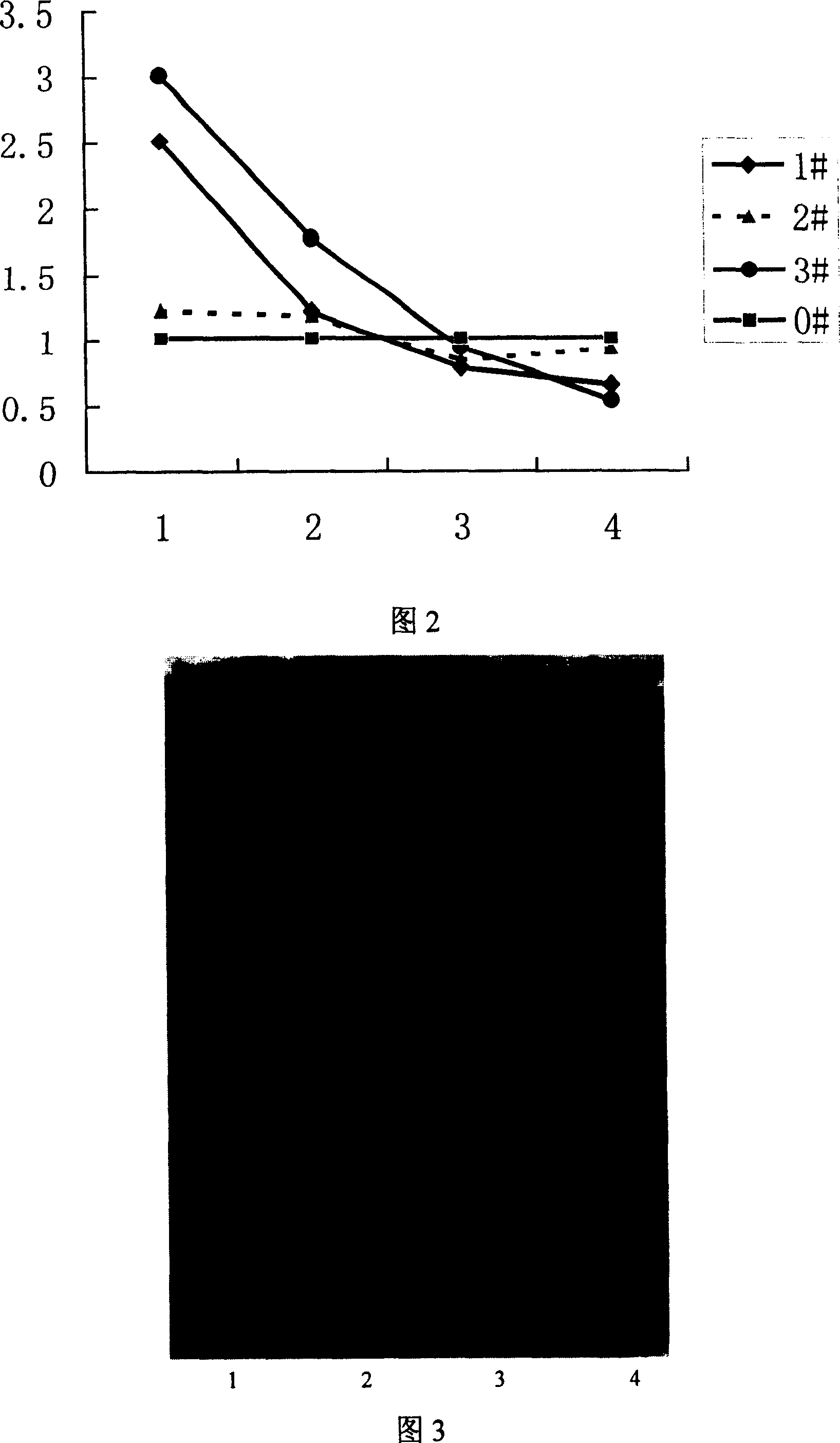 Recombinant erythropoietin with intracorporeal physical activity and modified by macrogol