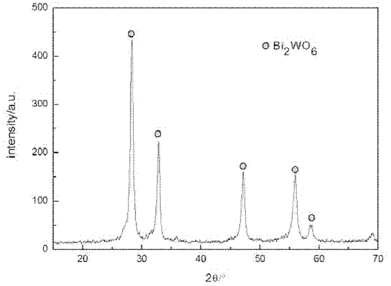 Method for preparing bismuth tungstate powder with high photocatalytic activity by adopting high-temperature microwave hydrothermal method