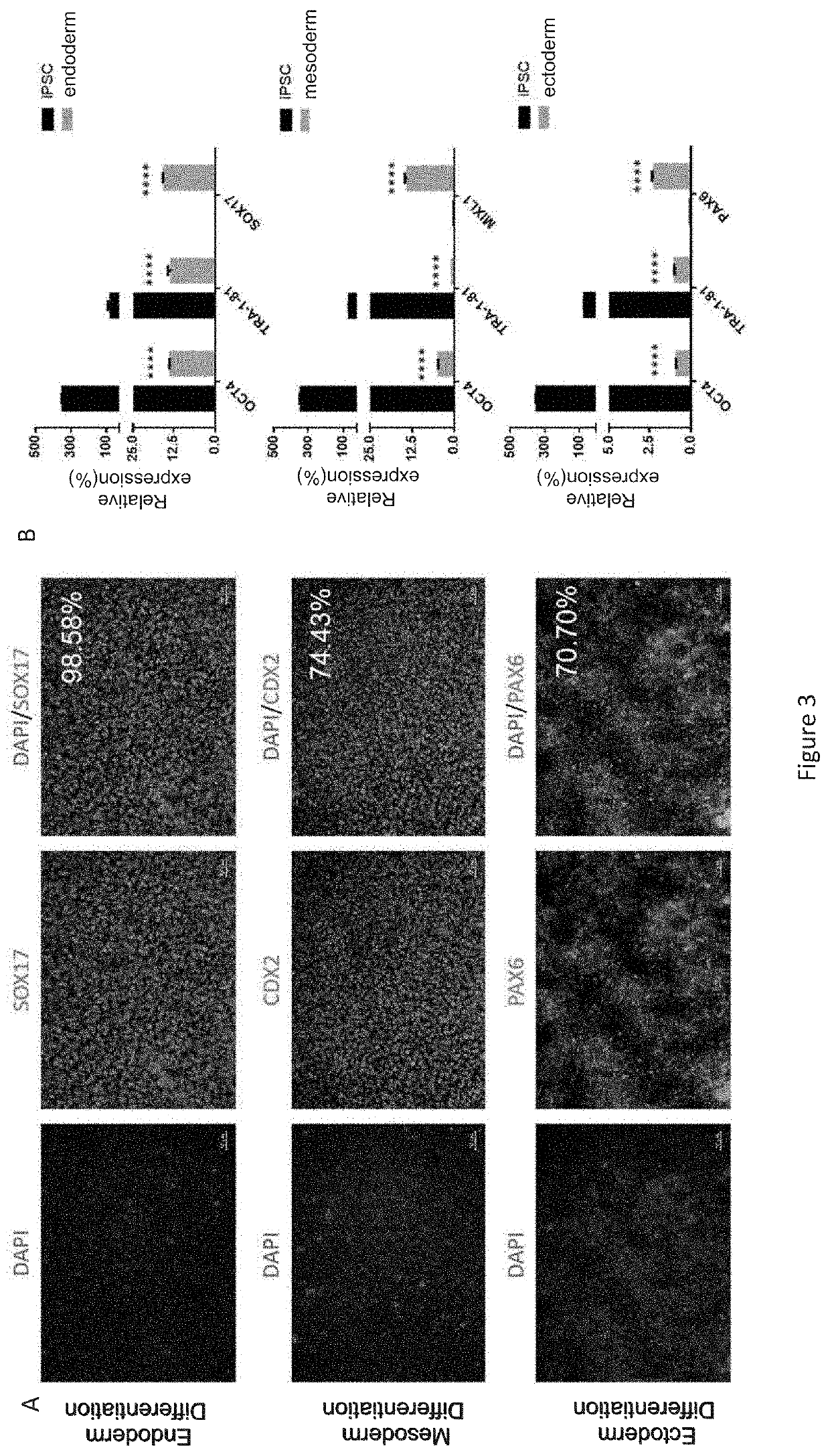 Method for preparing induced pluripotent stem cells by reprogramming somatic cells