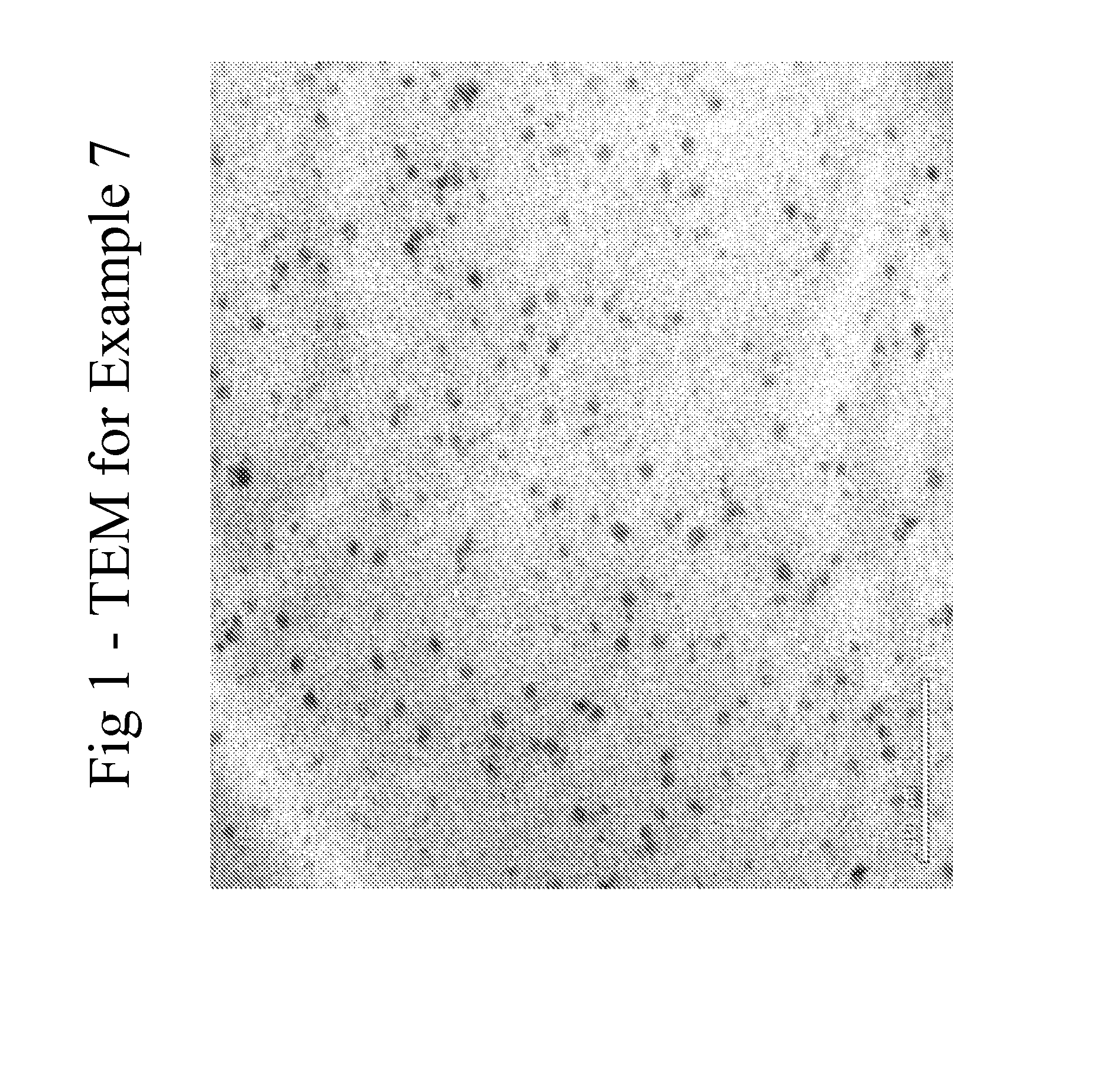 Method of making polycarbonate nanocomposites