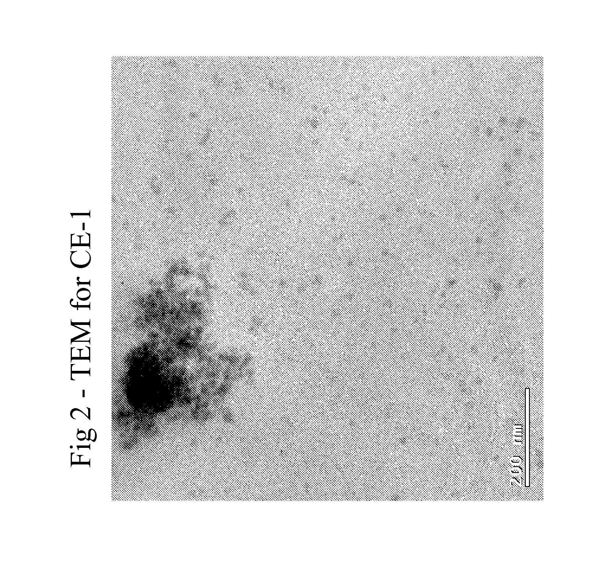 Method of making polycarbonate nanocomposites