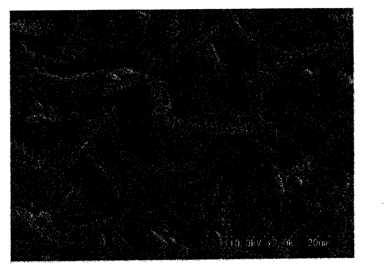 Conductive fine particles, method for manufacturing same, conductive resin composition, conductive sheet, and electromagnetic shielding sheet