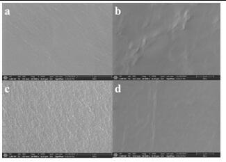 Preparation method of brinzolamide imprinted hydrogel contact lens for sustained and controlled release administration