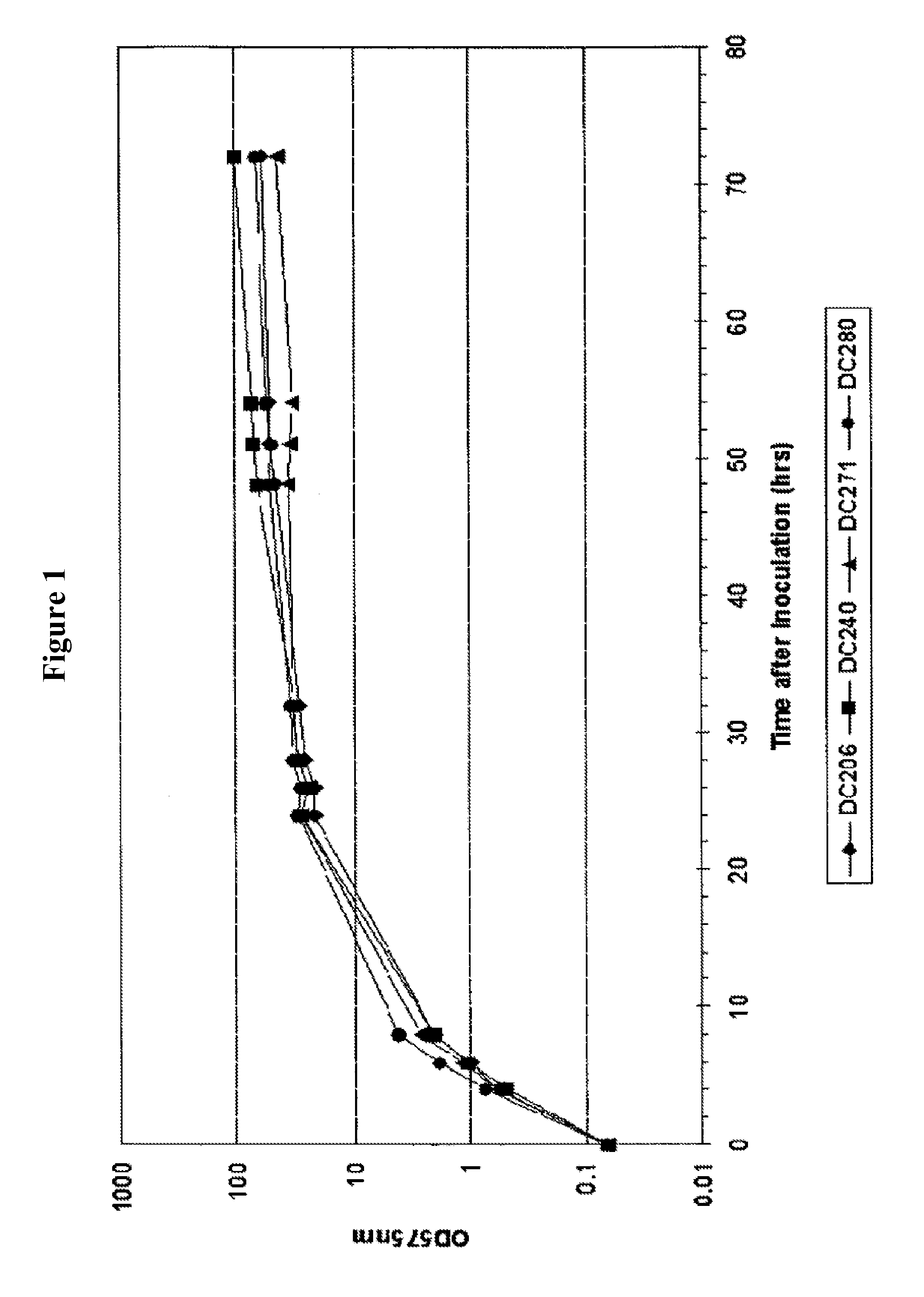 Process for improved protein expression by strain engineering