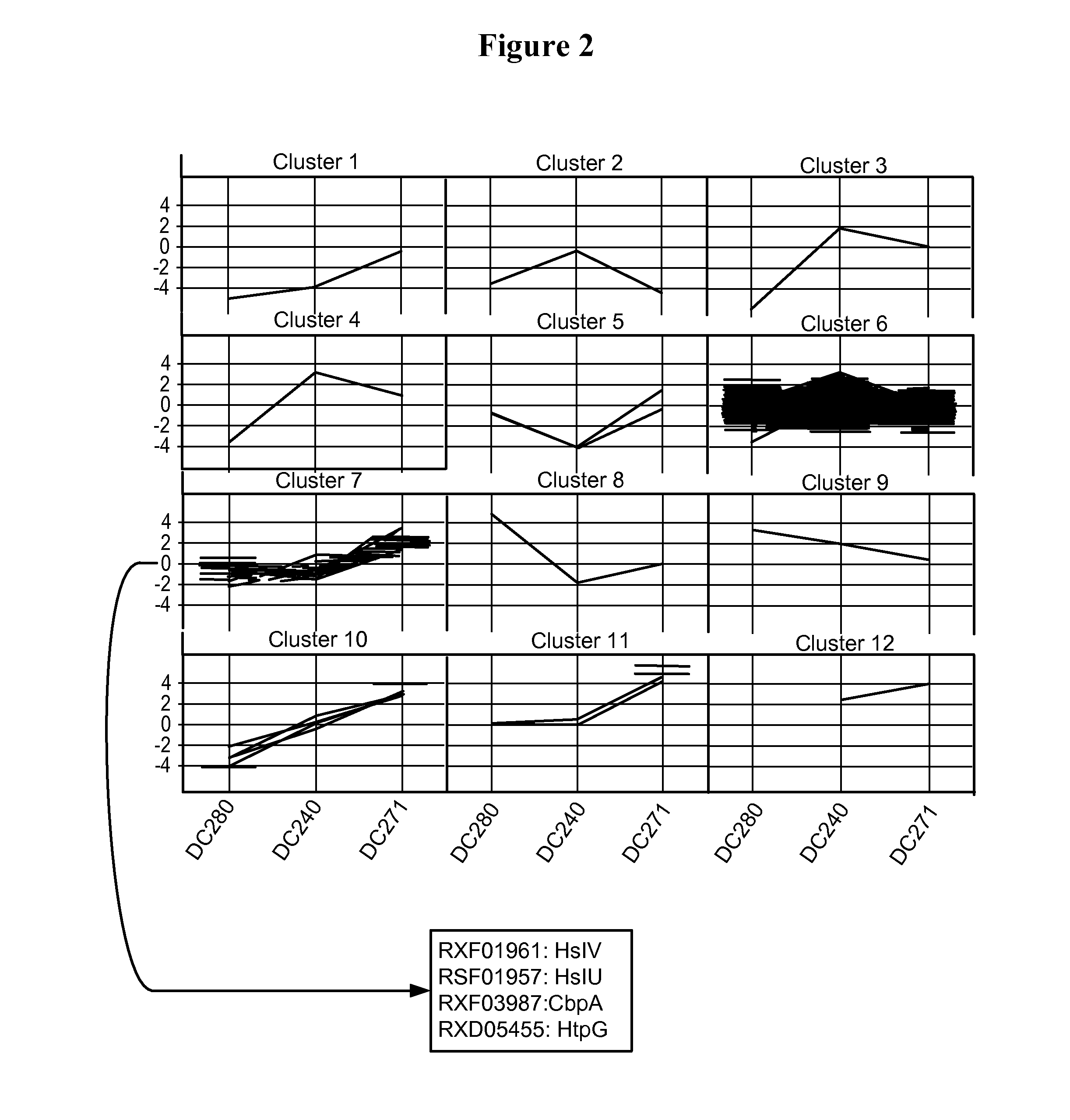 Process for improved protein expression by strain engineering