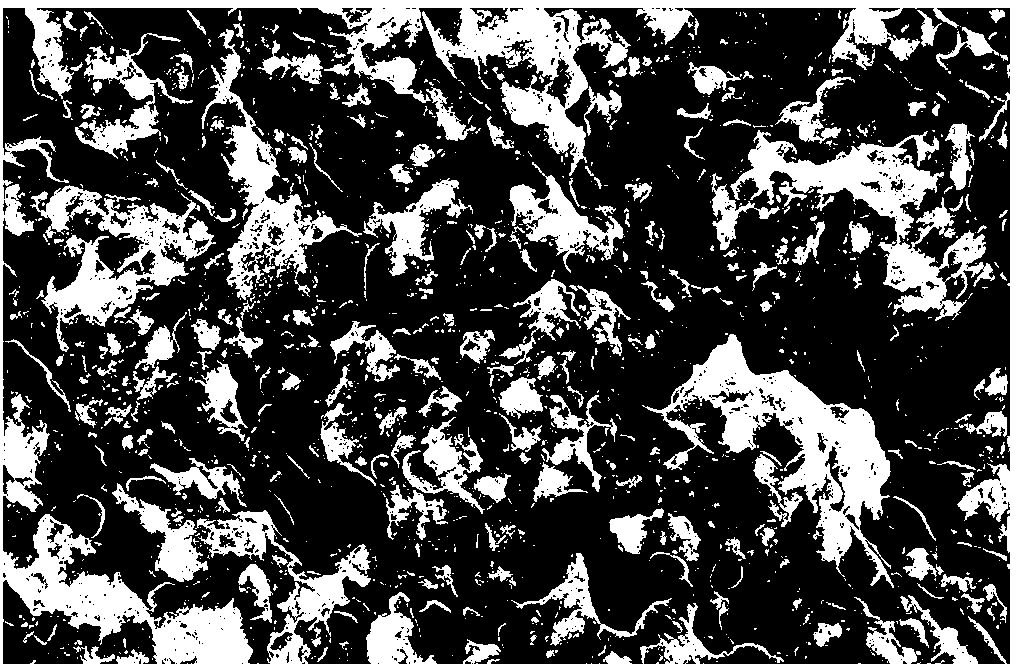 Magnetic plastic composite material and preparation method thereof