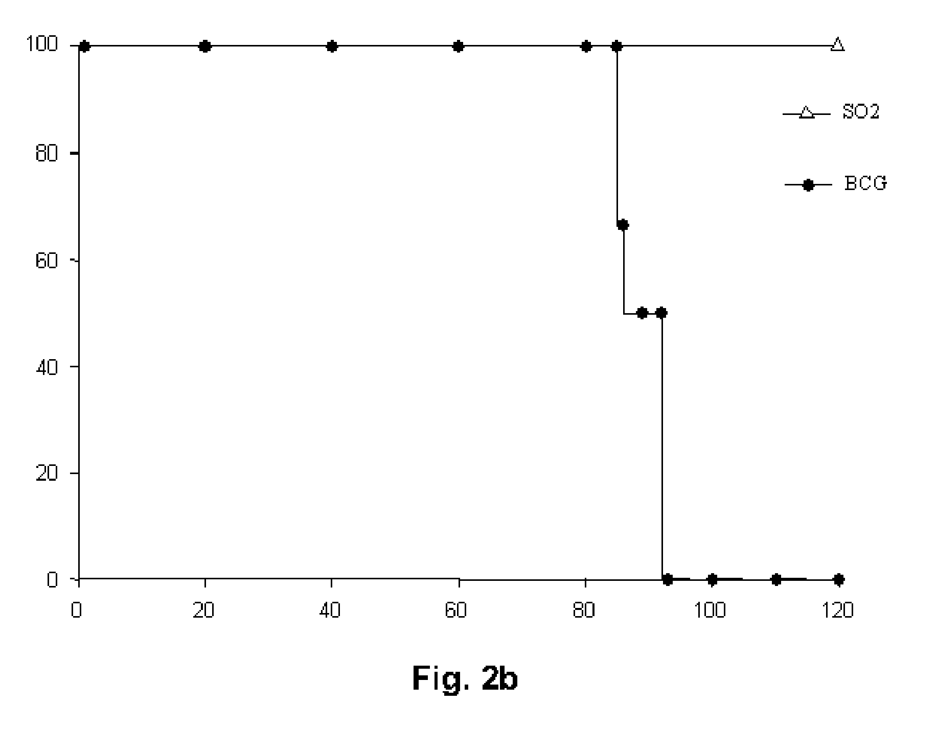 Tuberculosis Vaccine