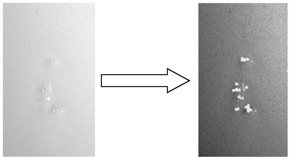 Metal paint spraying surface defect detection method