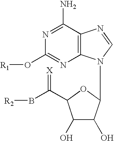 2-polycyclic propynyl adenosine analogs having A2A agonist activity