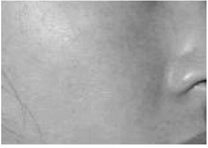 Spot-removing essence emulsion and preparation method thereof