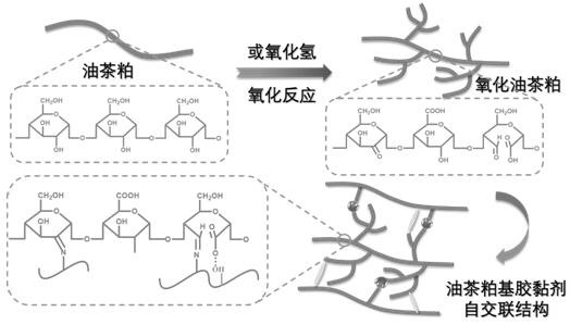 Oil-tea meal-based formaldehyde-free self-mildew-proof water-resistant adhesive