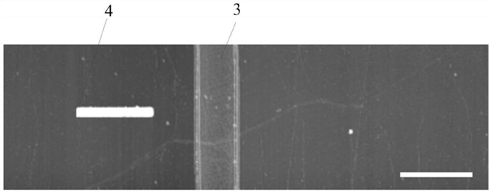 Phase modulation method based on phonon polaritons