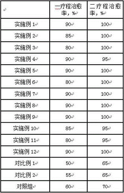 Drug for preventing and treating pig skin disease and preparation method thereof