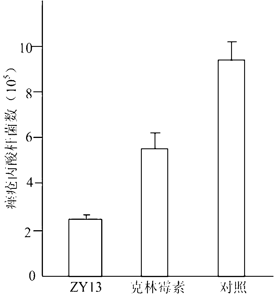 Small molecular polypeptide ZY13 and application thereof