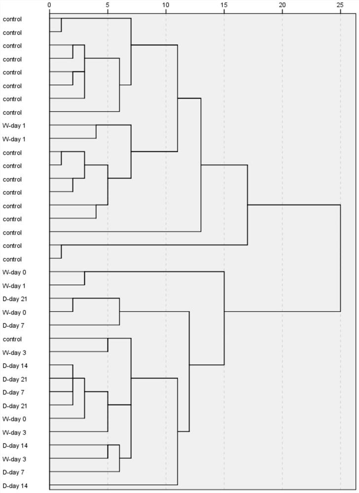 Detecting β in Animal Tissues Using Transcriptional Markers  <sub>2</sub> Agonist approach