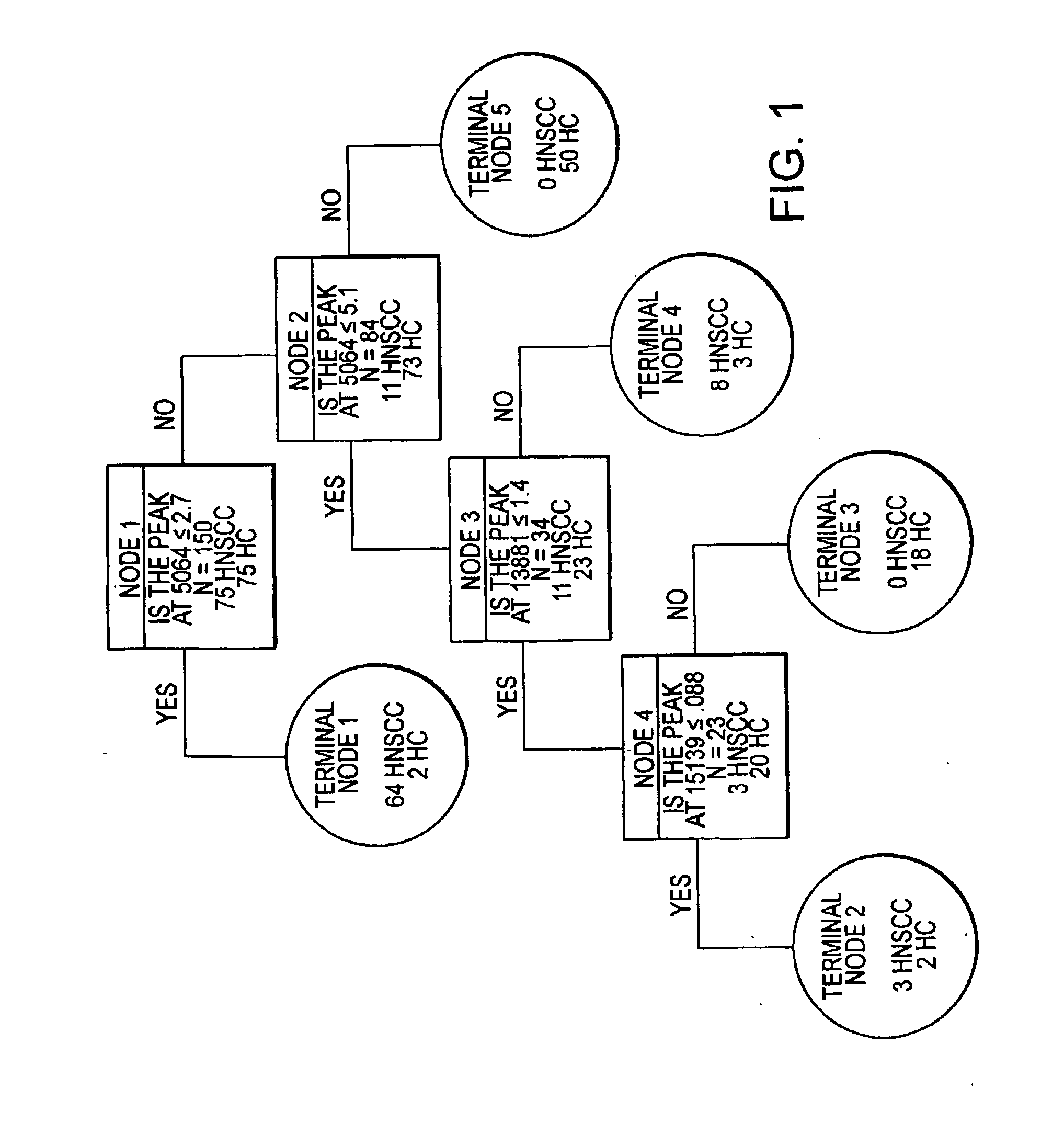 Method for diagnosing head and neck squamous cell carcinoma