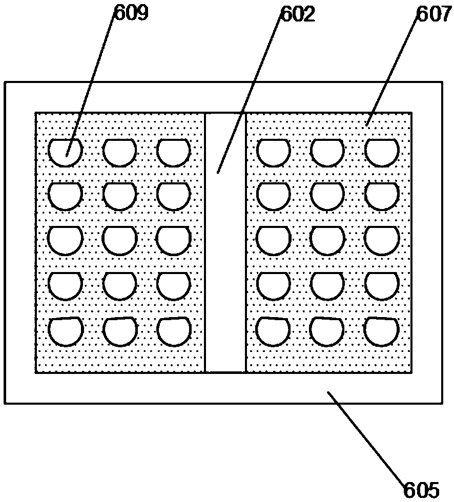 Buried sanitary sewage processing device