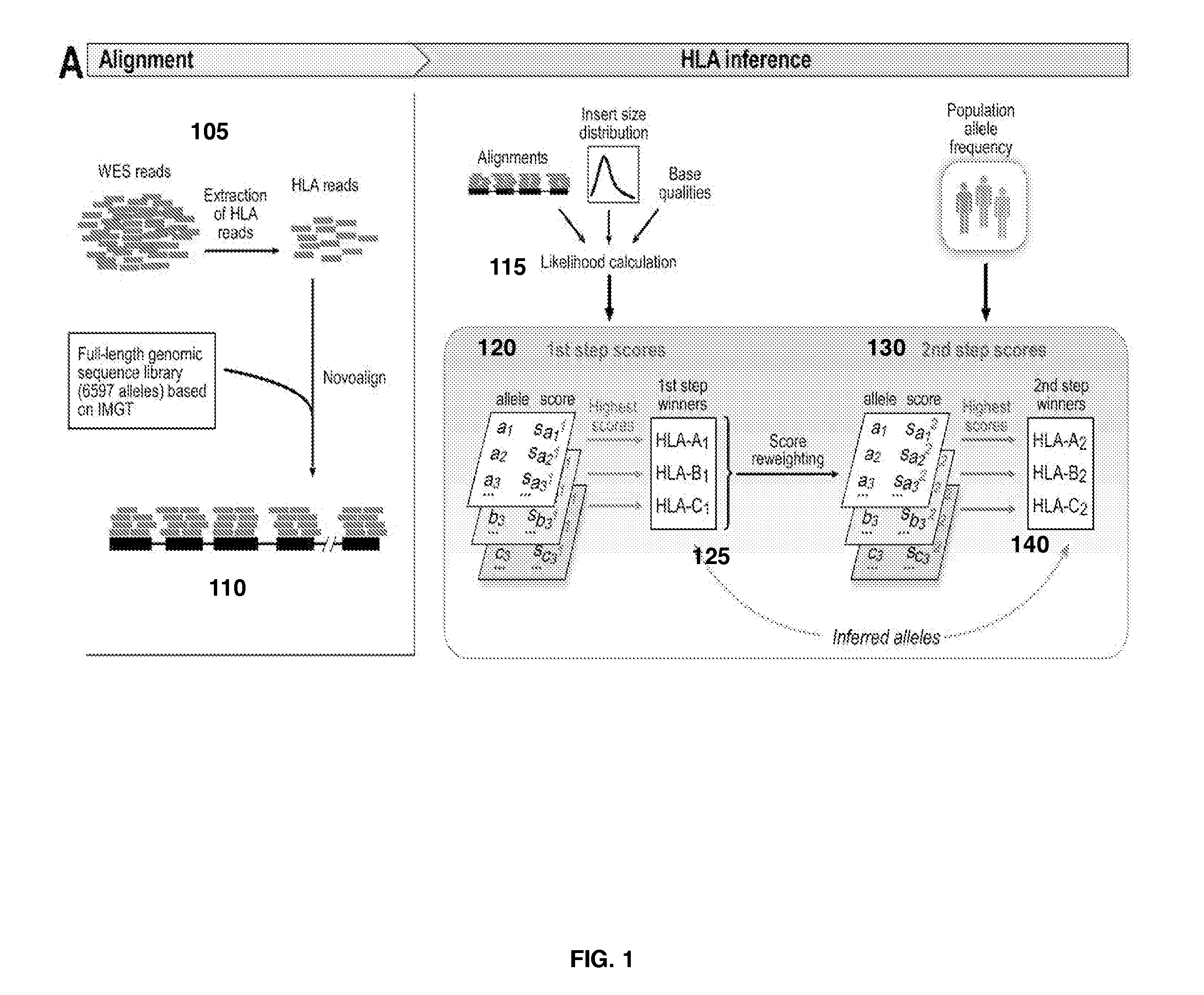 Polymorphic gene typing and somatic change detection using sequencing data