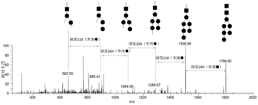 A diagnostic sign of systemic lupus erythematosus