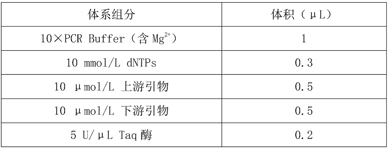 Specific molecular marker PCMI-M001 for rapid identification of male seedlings of populus cathayana