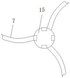 A juicer for chromatographic filtration of fruits