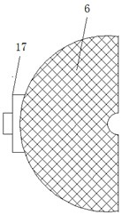 A juicer for chromatographic filtration of fruits