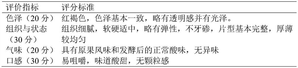 Semi-fermented probiotic kadsura coccinea fruit paste and preparation method thereof