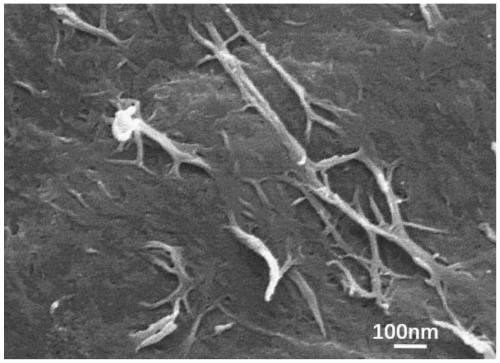 A self-reinforced para-aramid paper using aramid nanofibers and its preparation method