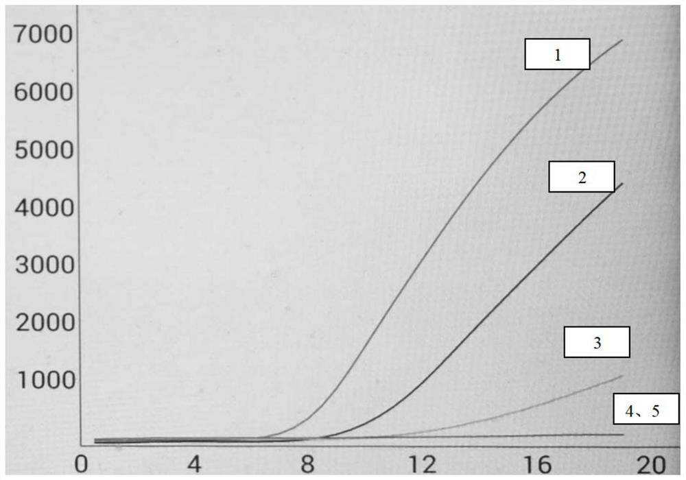 Specific primer pair, probe and detection kit for detecting carp spring virus