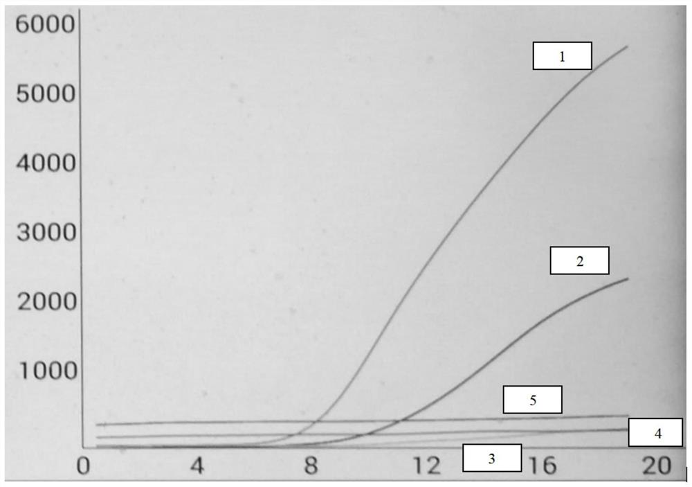 Specific primer pair, probe and detection kit for detecting carp spring virus