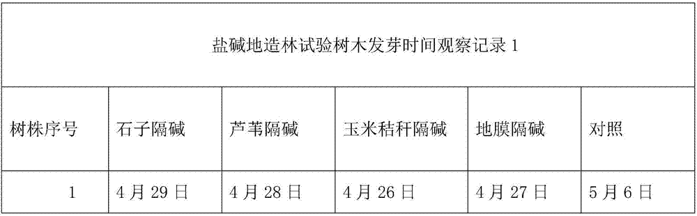 Method for planting fraxinus chinensis in saline-alkaline land using containers for alkaline insulation